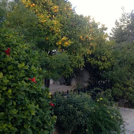 Apartment Paphos Studios