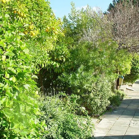 Paphos Studios Apartment *